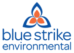 BLUE STIKE LOGO
