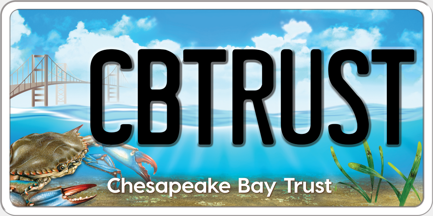 CBT logo