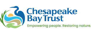 cbt logo