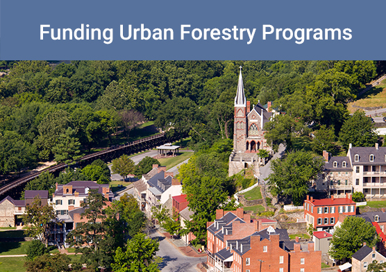 Funding Urban Forestry