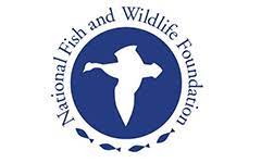 National Fish and Wildlife Foundation logo