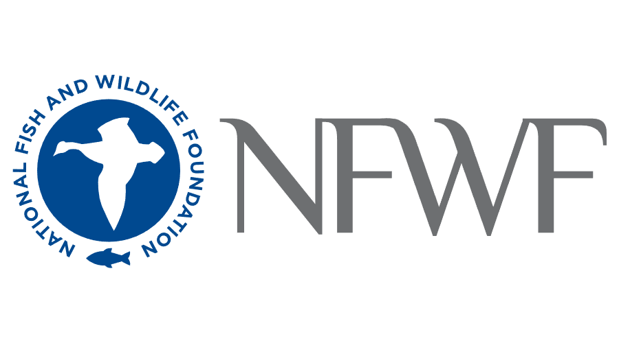 Nation fish logo