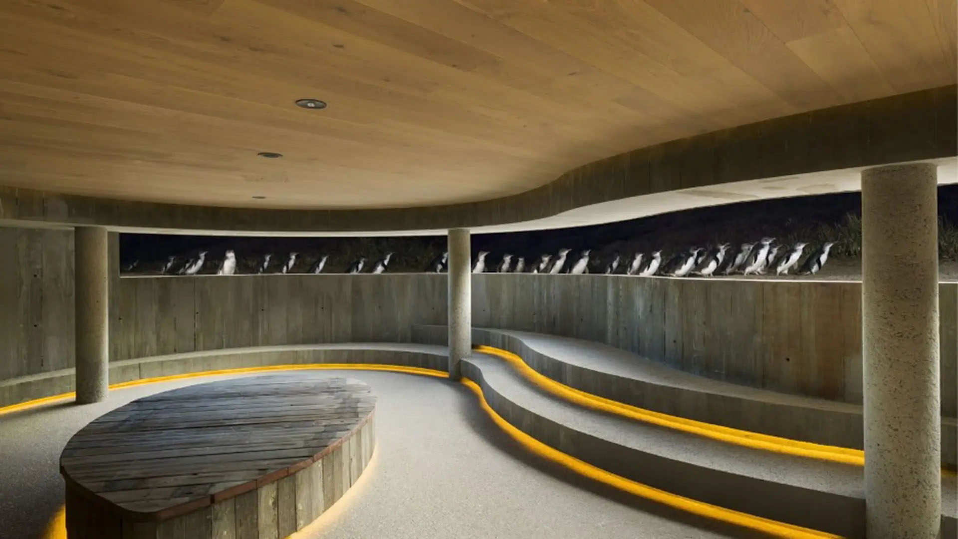 Rendering of an interior wooden space with slit of a view of penguins.