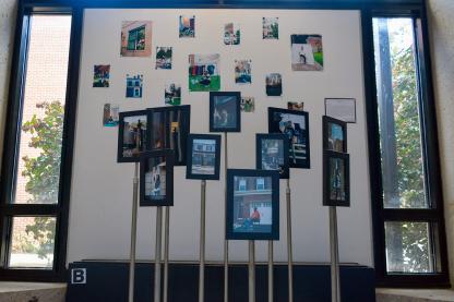 Numerous pictures in frames and on a bulletin board