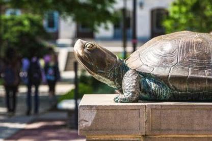 Testudo statue
