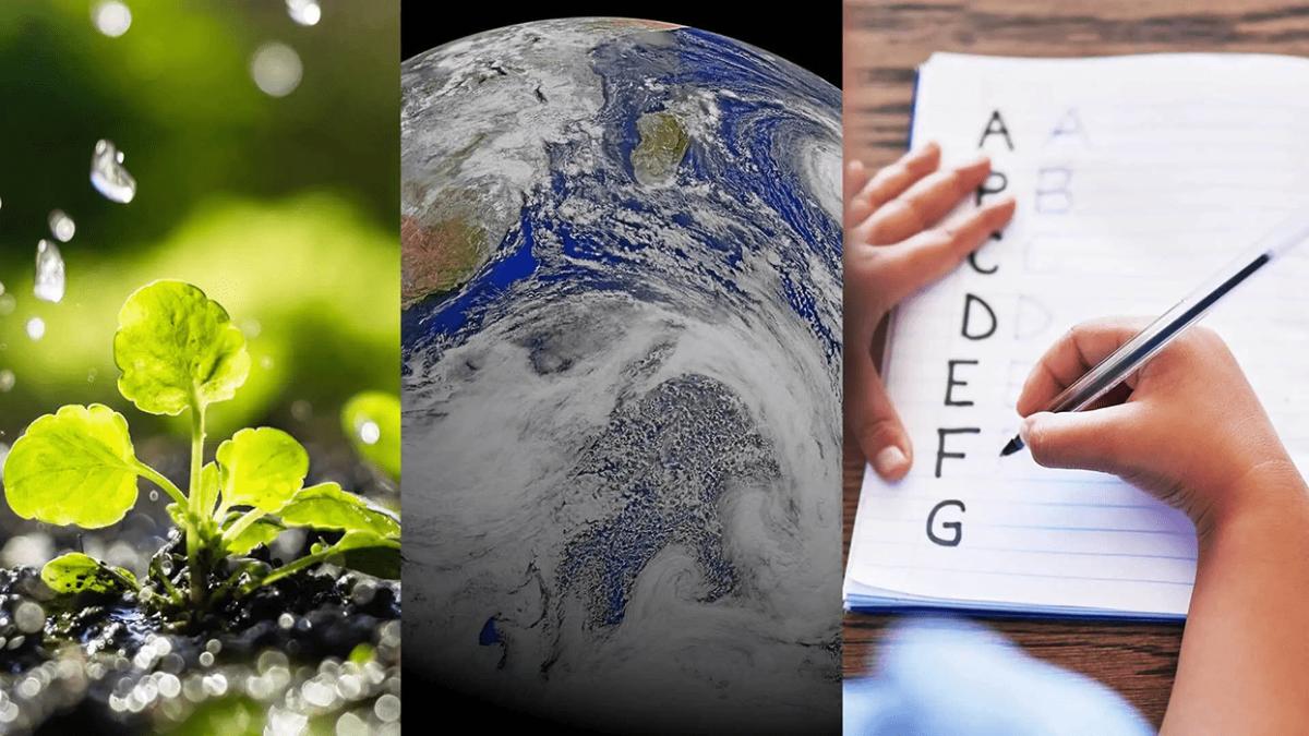 Collage of images of a plant growing, the earth and a student writing