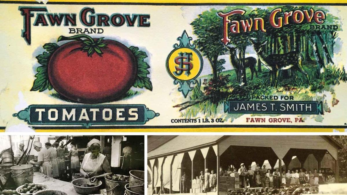 A label from an old tomato can and pictures of women canning goods