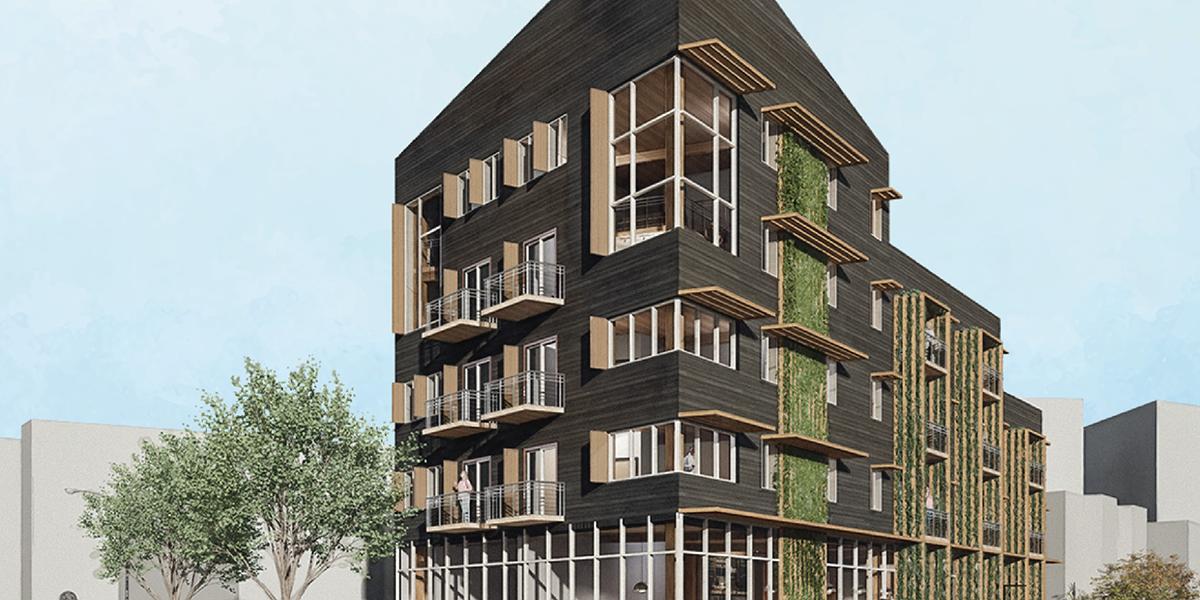 Timber Point rendering