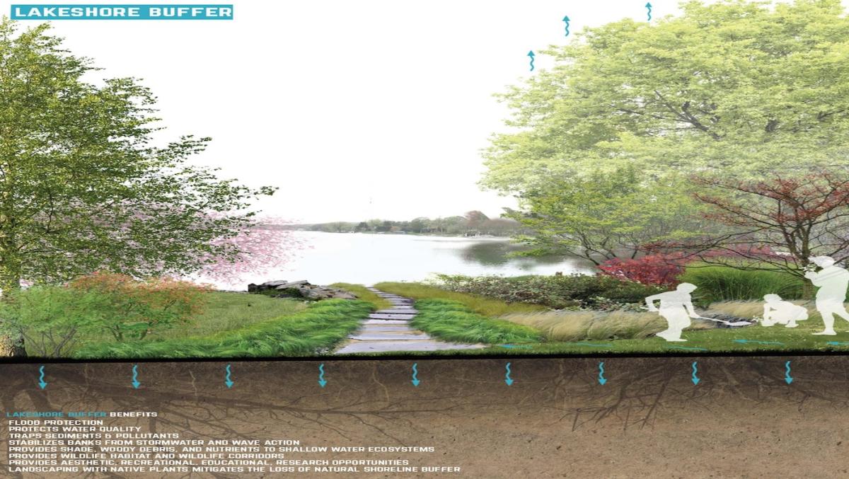 Lakeshore Buffer