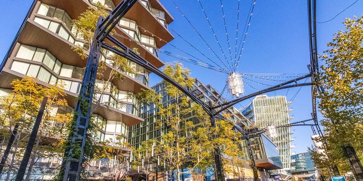 Buildings at the Wharf