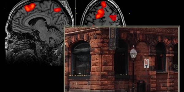 fMRI Mockup