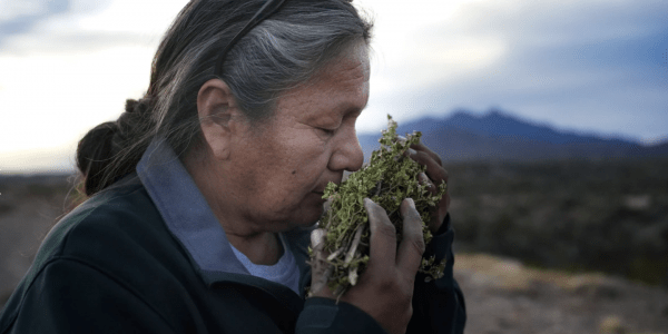 Native American woman smelling herbs.