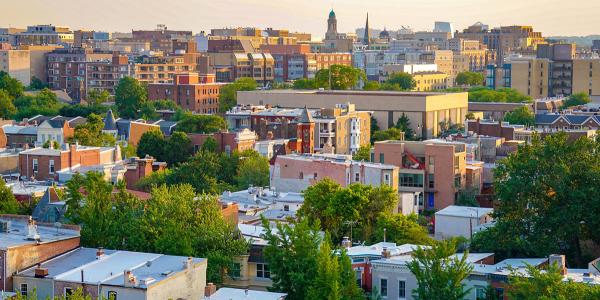 Aerial view of urban greenery in Washington DC