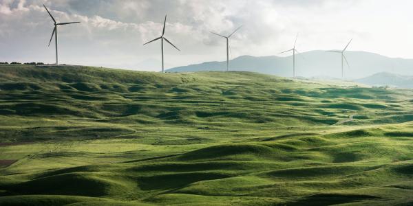 windmills surrounded by a grassy field