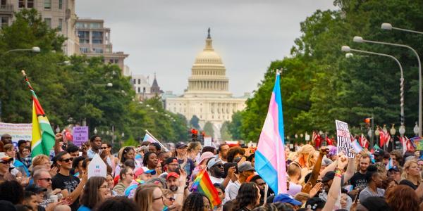 The transgender march in Washington, DC in front of the Capitol.