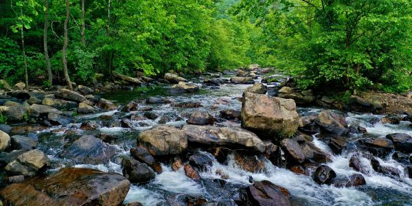Creek/river with rocks