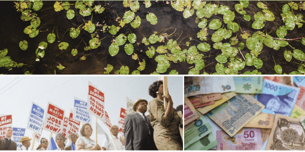Collage of leaves, people holding signs and money