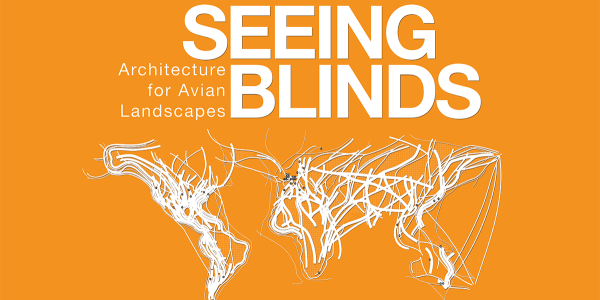 World map made from white string motions. Title "Seeing Blinds" on an orange background