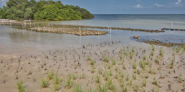 Designing a Resilience Action Plan for Maryland’s Coastal Communities