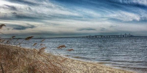 Water with bridge