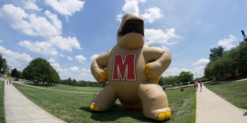 Blow up Testudo 