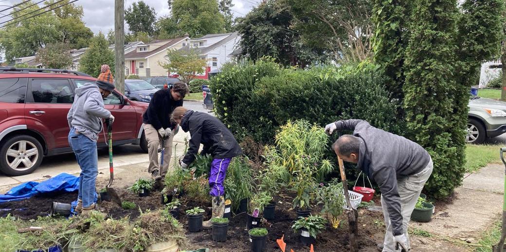 People planting trees and plants in a house garden in North Brentwood