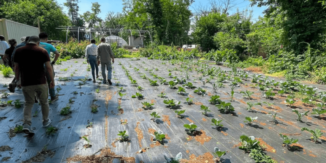 People walking in urban farm