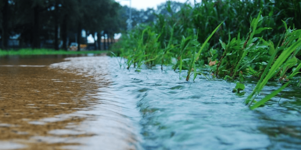 Stormwater running from the street into grass