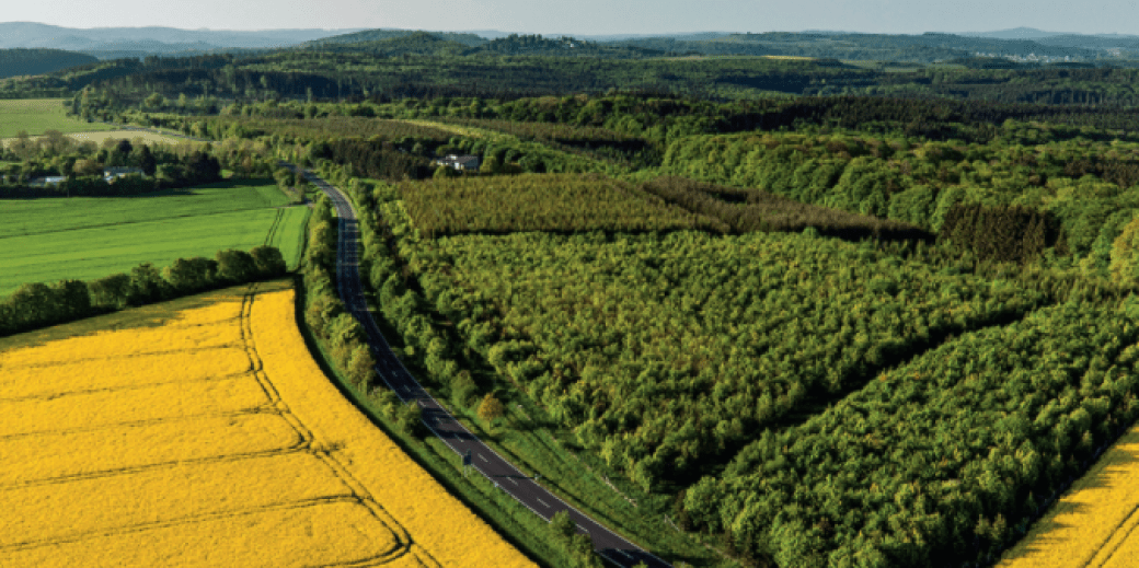 Land seen from above