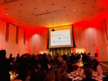 RDEV 6th Annual Awards Ceremony. Red lighting in ballroom.