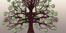 An illustration of a tree with dollar signs a leaves
