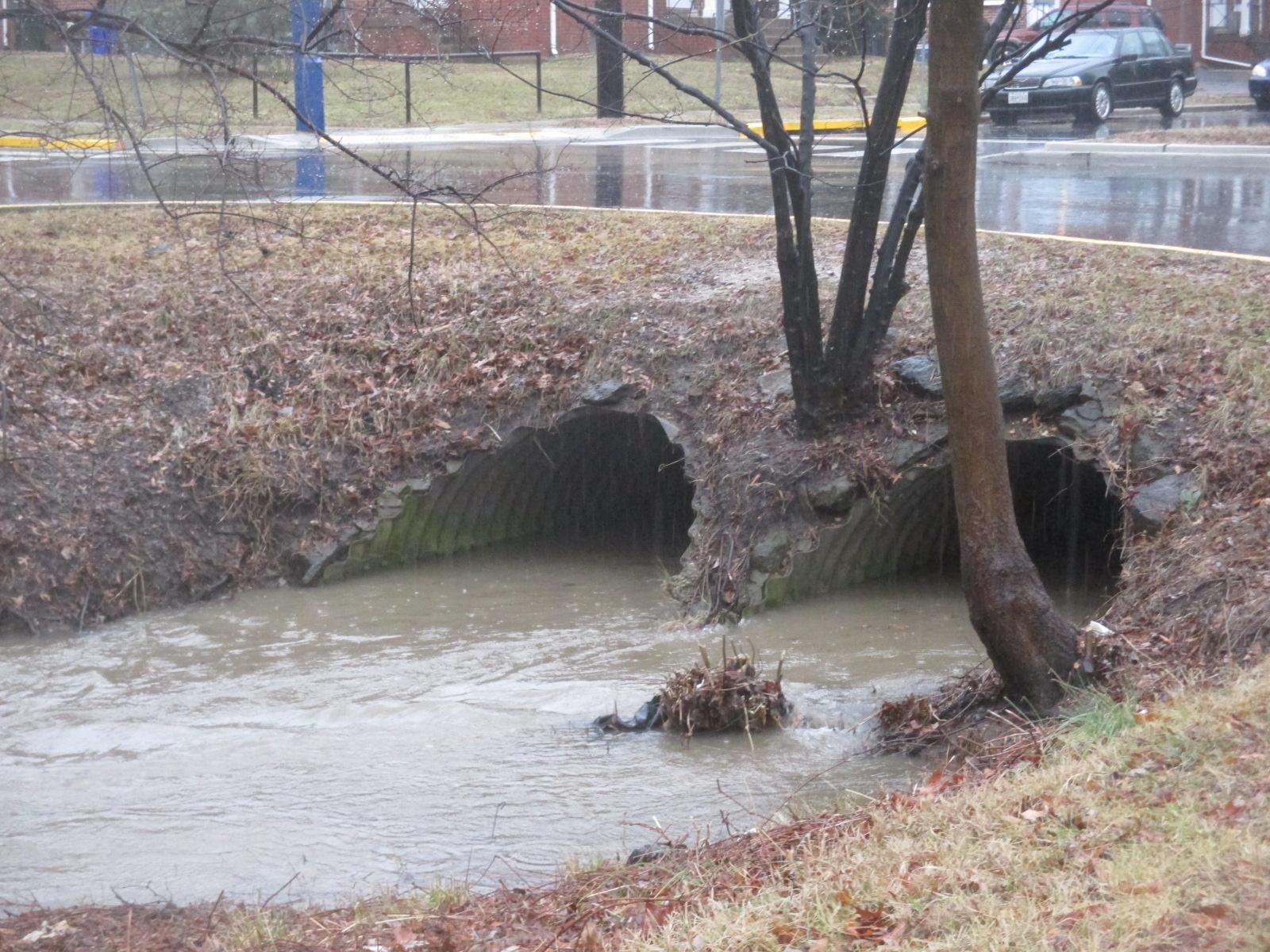 Click for more information about EFC Project Supports Local Stormwater Solutions