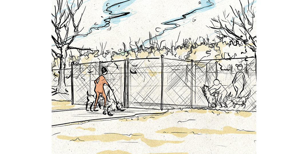 Illustration of people with their dogs at a dog park