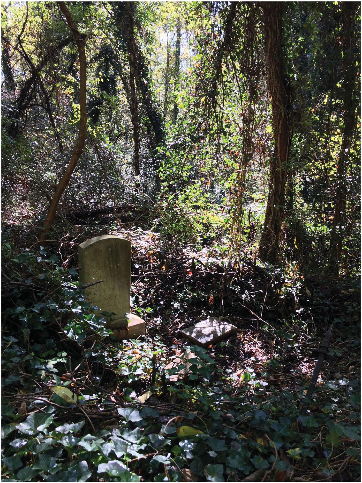 Cemetery in a forest