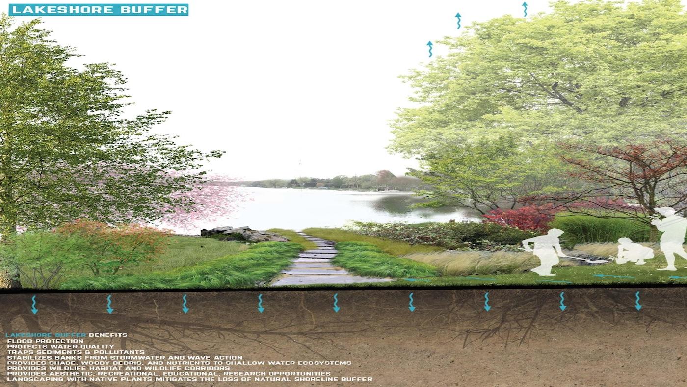 Lakeshore Buffer