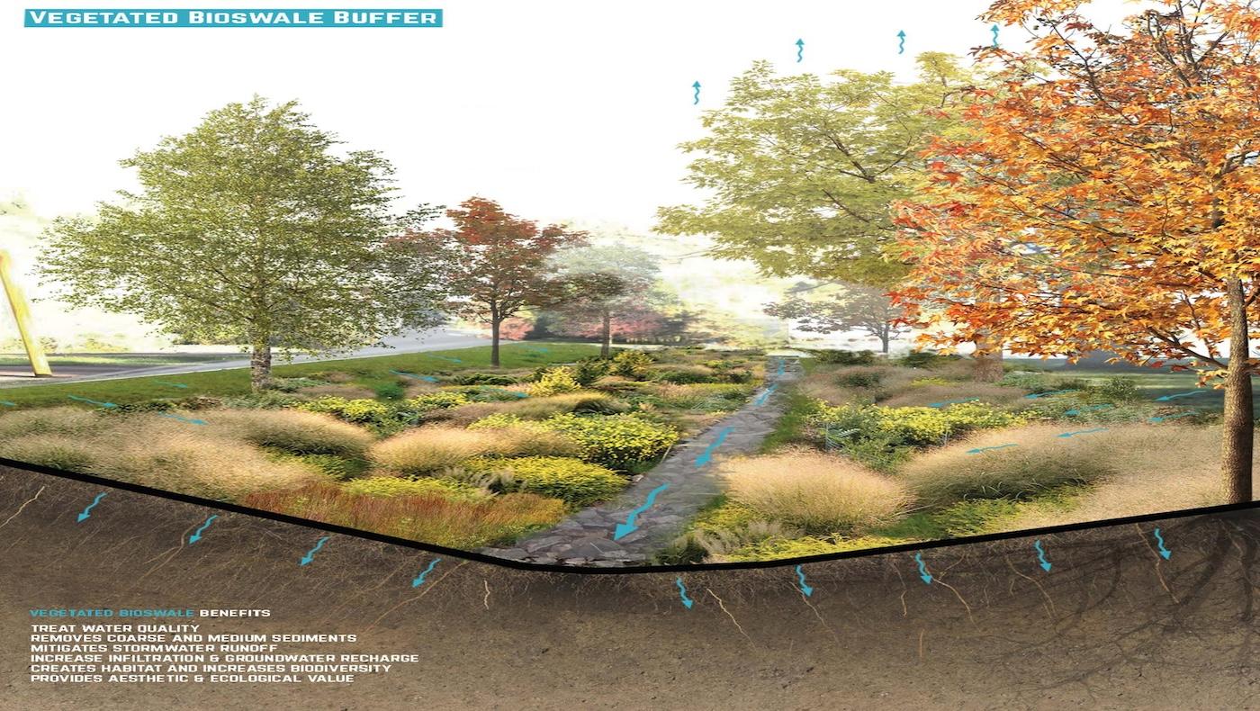 Vegetated Biowaste Buffer
