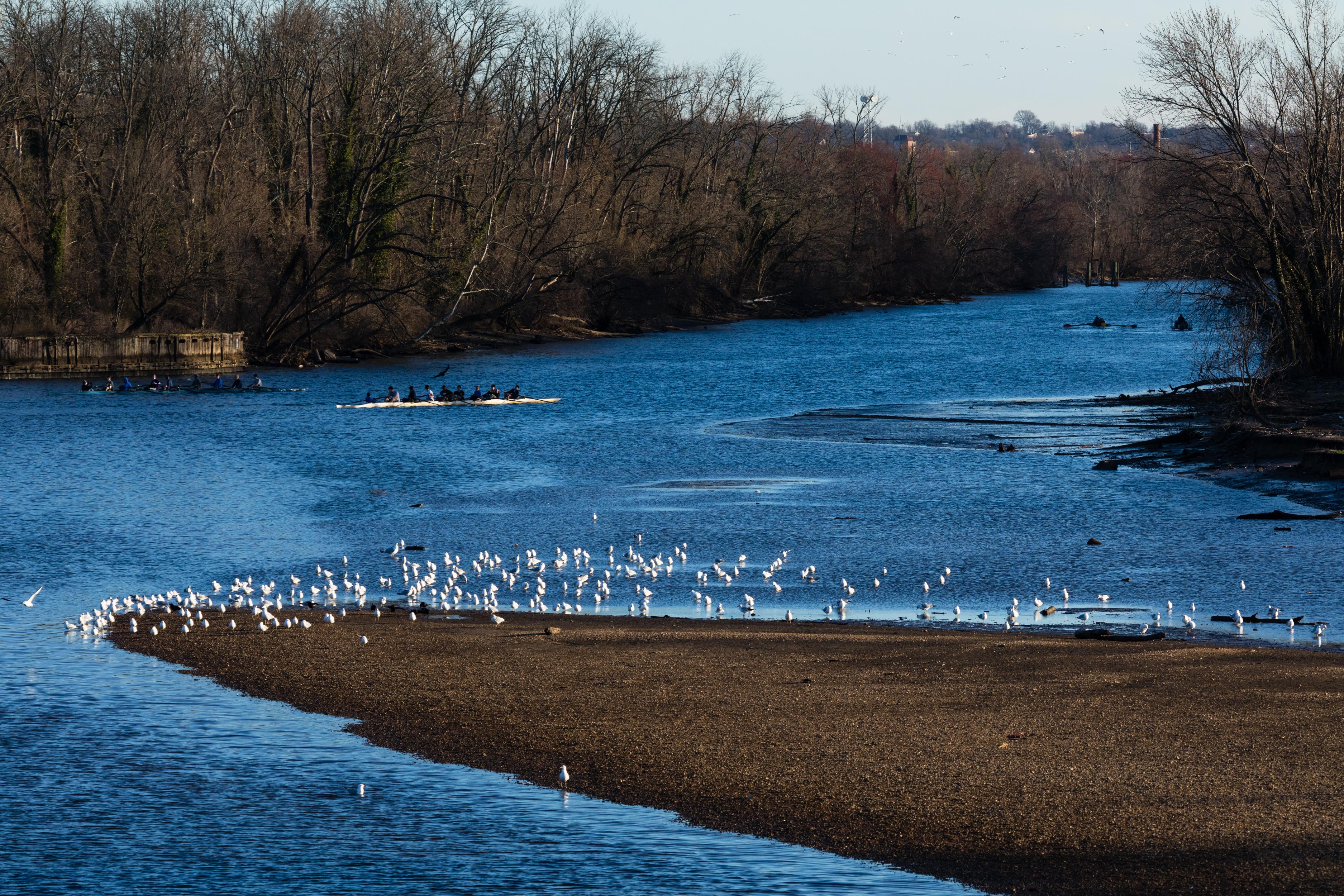 Bladensburg Waterfront Park in Prince George's County, Maryland