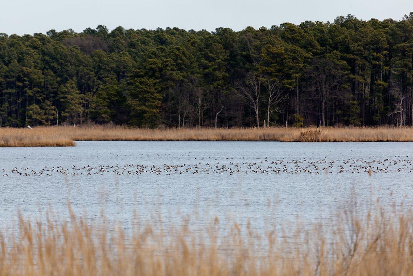 A view of the Chesapeake Bay