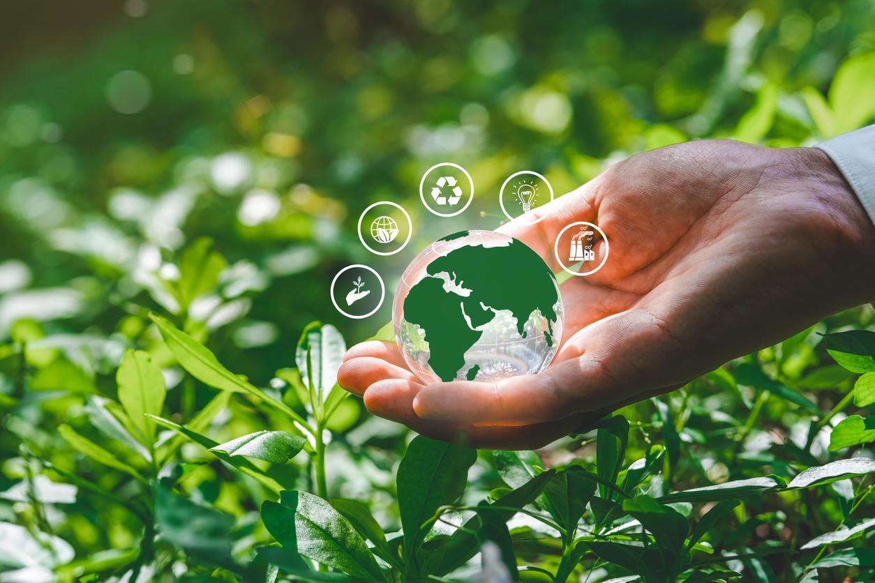 Hand holding a green globe with environmental icons surrounded by greenery