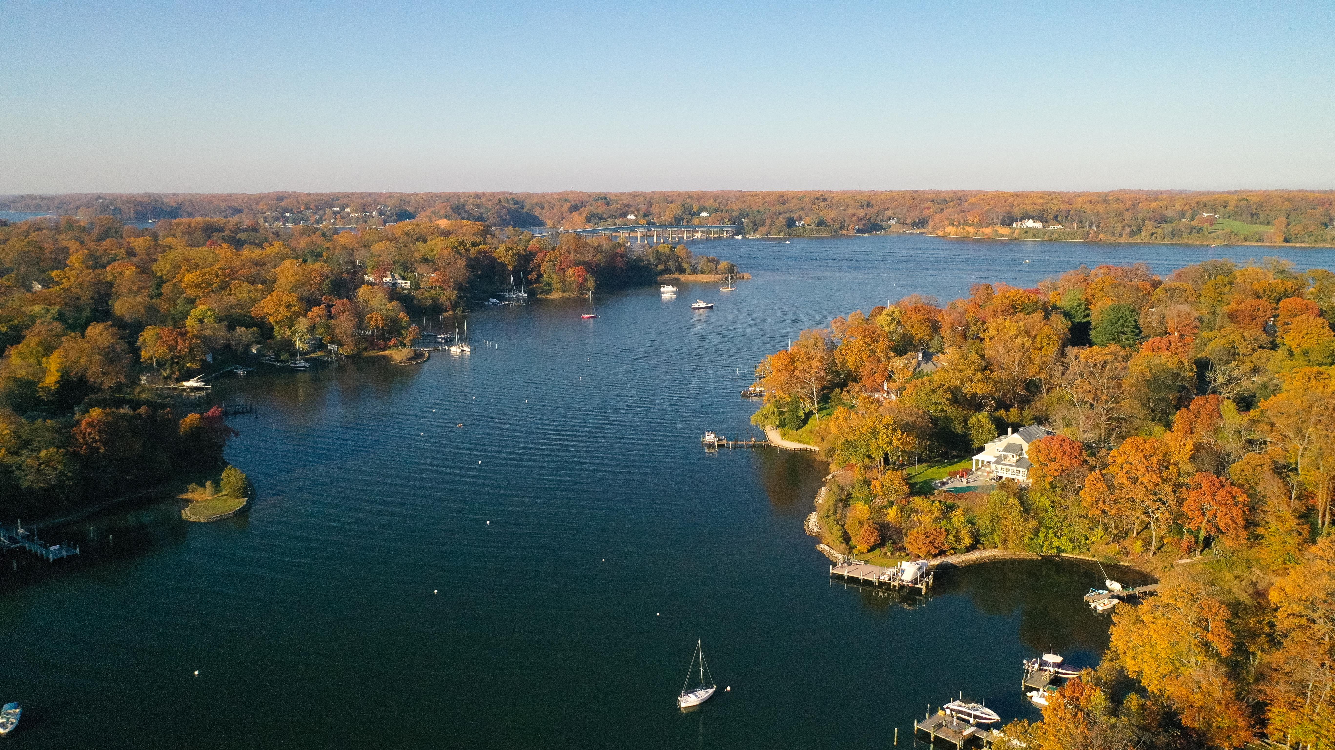 Aerial view of colorful sailboat moorings, docks, and bright golden foliage on Weems Creek, in historic downtown Annapolis Maryland on a fall day