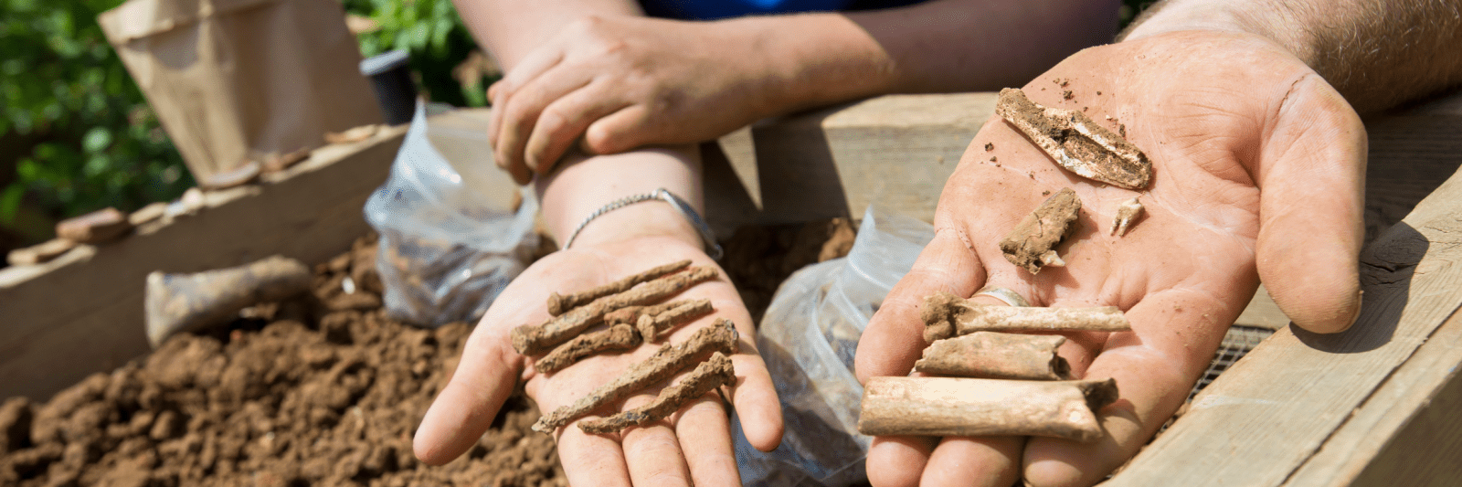 Closeup of two hands holding up excavated items