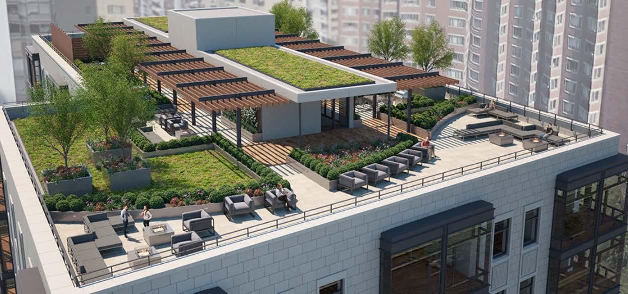 Haven rooftop with greenery and outdoor seating