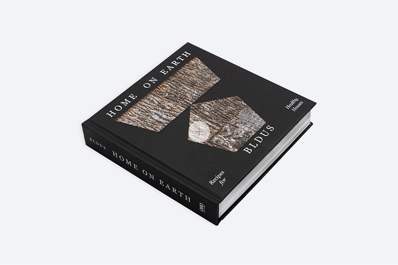 Home on earth book cover