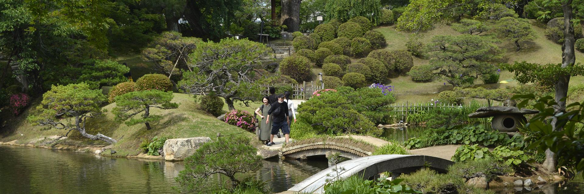 People walking on a bridge in a Japanese green garden