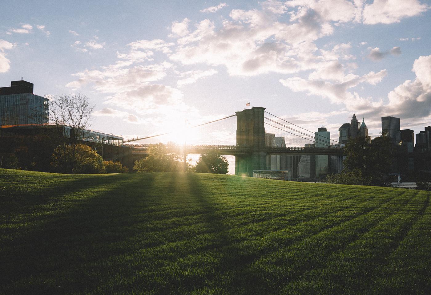 Photo of a park in Brooklyn, NYC at sunset