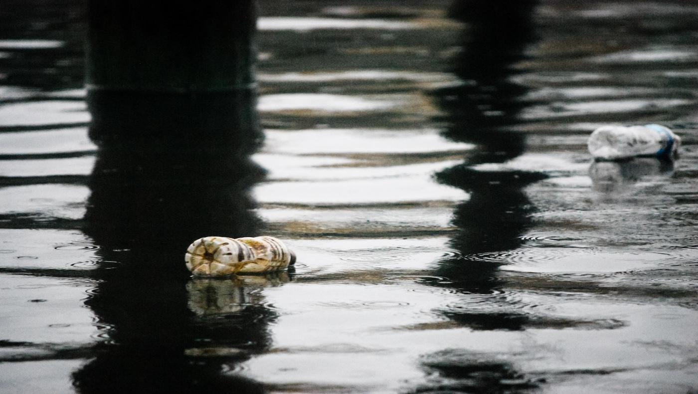 Credit: Chesapeake Bay Program