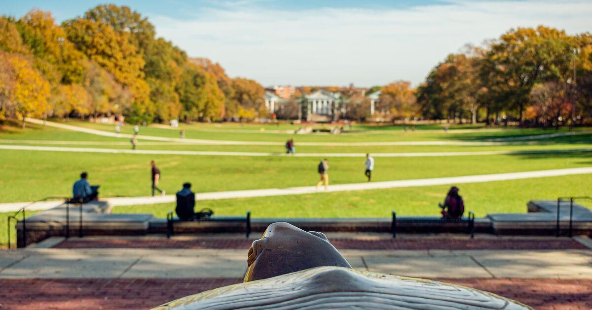 Point of view above terapin statue and looking out to campus during fall