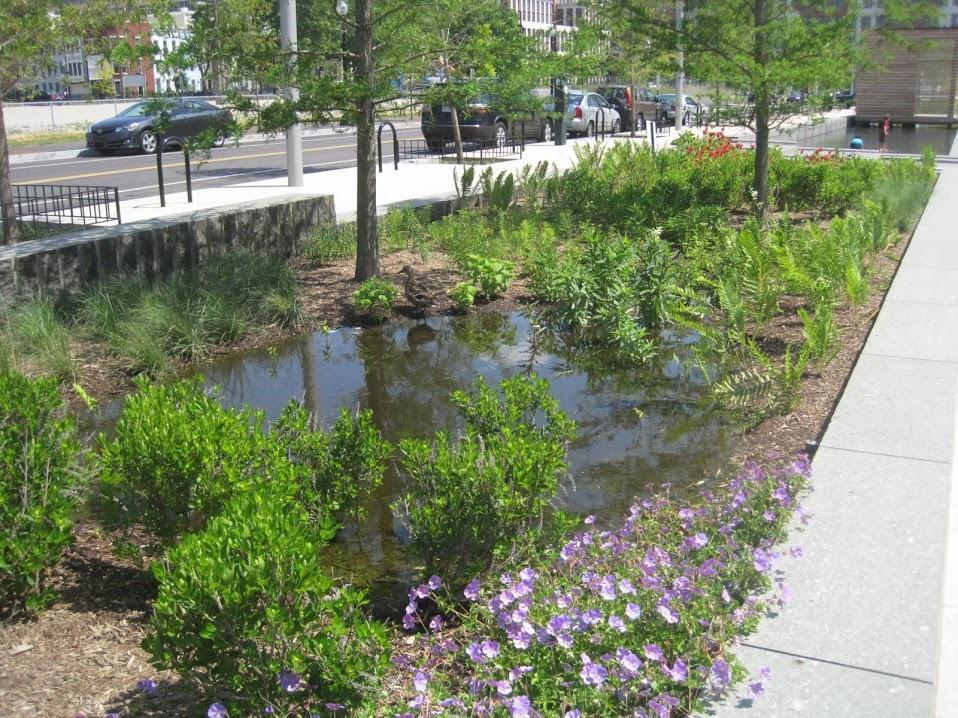 Water piling up on a sidewalk's mini garden
