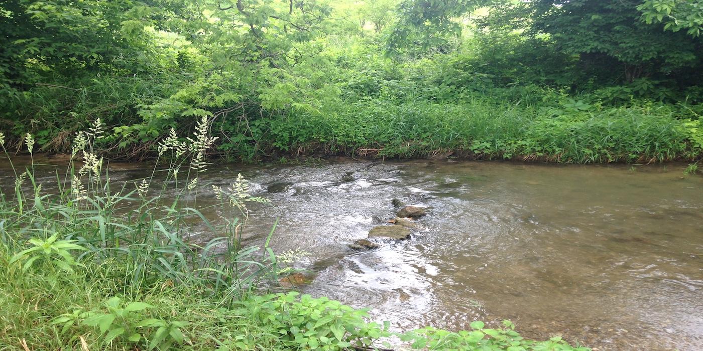 Berkeley County