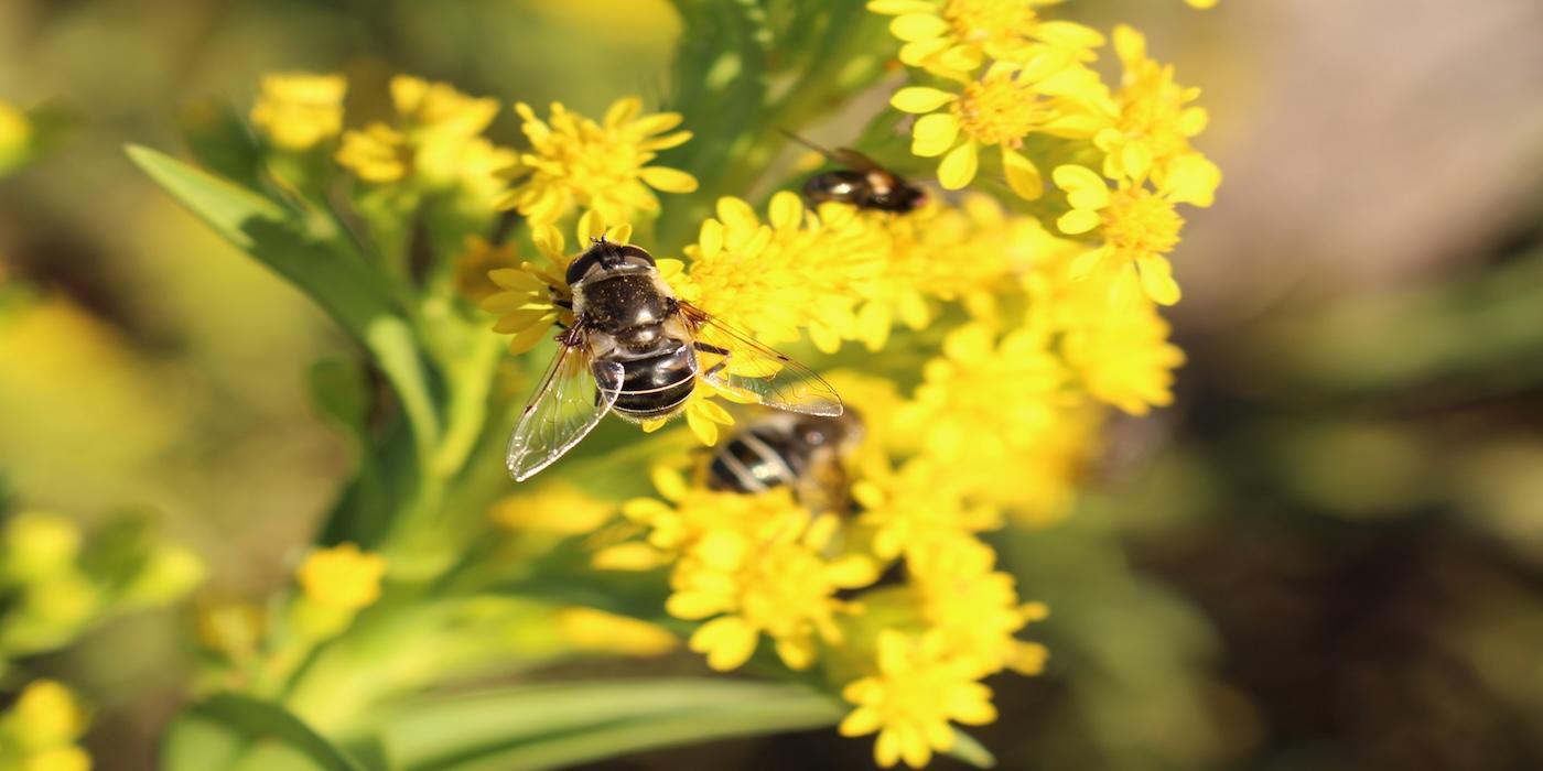 Equitable Landscaping